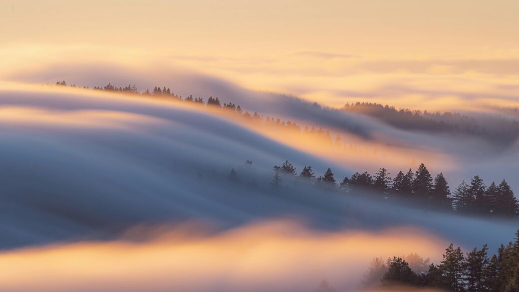 Veduta aerea di un paesaggio collinoso parzialmente avvolto dalla nebbia